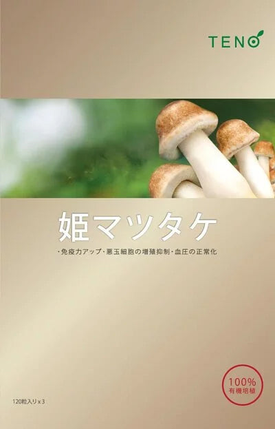 Japan Agaricus